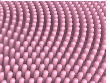 Silicone Facial Cleanser